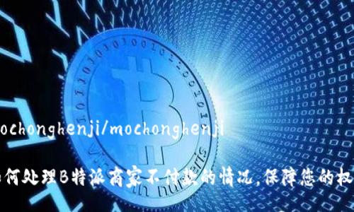 mochonghenji/mochonghenji

如何处理B特派商家不付款的情况，保障您的权益
