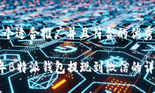 思考一个适合推广并且符合的优秀

2023年B特派钱包提现到微信的详细指南