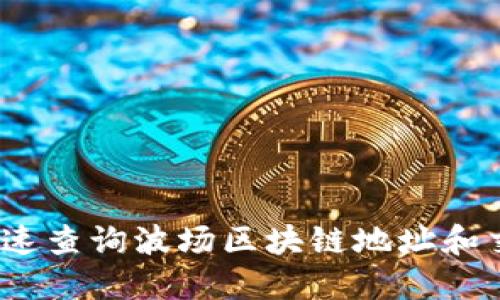 : 如何快速查询波场区块链地址和交易记录？