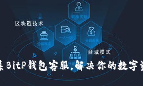 如何联系BitP钱包客服，解决你的数字资产问题