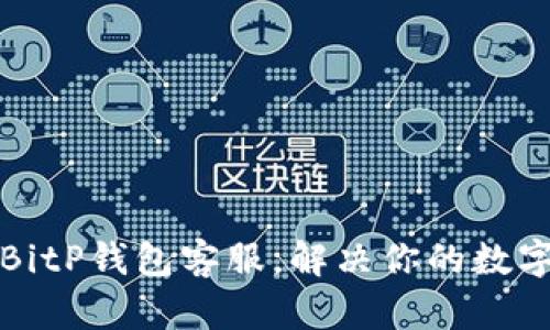 如何联系BitP钱包客服，解决你的数字资产问题