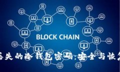 如何找回丢失的冷钱包密码：安全与恢复的全攻