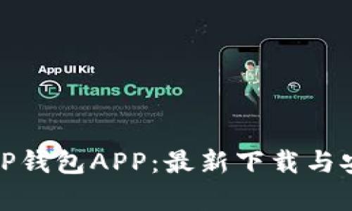 全面解析BitP钱包APP：最新下载与安全使用指南