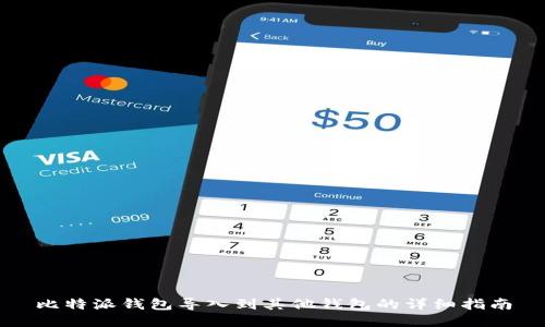 比特派钱包导入到其他钱包的详细指南