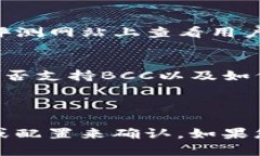 在讨论“B特派是否支持BCC”之前，让我们首先明