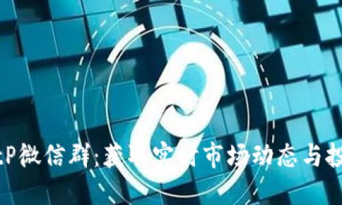 加入BitP微信群：获取实时市场动态与投资策略