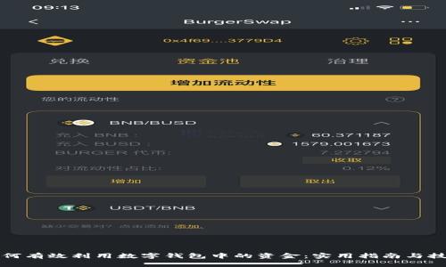 如何有效利用数字钱包中的资金：实用指南与技巧