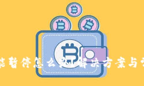 BitP认证功能暂停怎么办？解决方案与常见问题解析