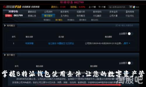 : 轻松掌握B特派钱包使用条件，让您的数字资产管理无忧