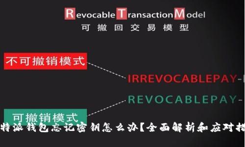 比特派钱包忘记密钥怎么办？全面解析和应对措施