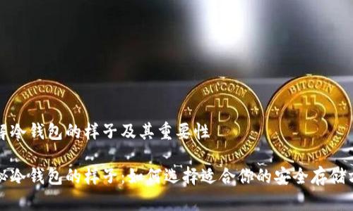了解冷钱包的样子及其重要性

揭秘冷钱包的样子：如何选择适合你的安全存储方式