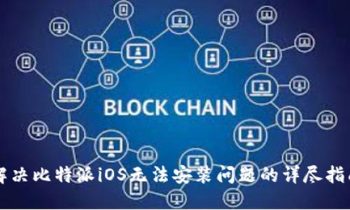 解决比特派iOS无法安装问题的详尽指南