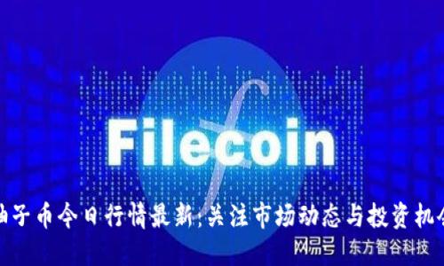 柚子币今日行情最新：关注市场动态与投资机会