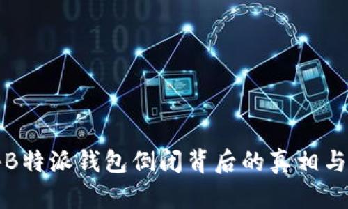 揭秘B特派钱包倒闭背后的真相与反思