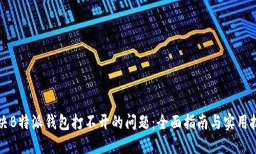 解决B特派钱包打不开的问题：全面指南与实用技巧
