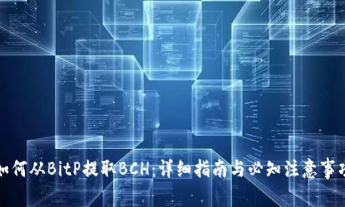 如何从BitP提取BCH：详细指南与必知注意事项