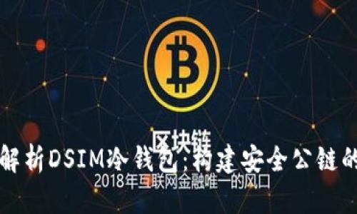 深入解析DSIM冷钱包：构建安全公链的未来