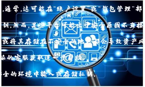 对于B特派（Bit派或某些类似平台）的私钥查看，通常情况下，可以通过以下步骤来获取：

1. **登录您的账户**：首先，登录到您的B特派账户。确保您使用的是安全的设备，并且网站是官方网站。

2. **访问钱包设置**：在账户仪表板上，寻找与钱包或安全相关的选项。通常，这可能在“账户设置”或“钱包管理”部分。

3. **导出私钥**：在钱包设置中，可能有一个选项允许您查看或导出私钥。然而，某些平台可能出于安全原因不直接显示私钥。这种情况下，您可能需要使用助记词或其他方式来恢复钱包。

4. **安全性注意事项**：请务必小心处理您的私钥。将私钥告知任何人或将其存储在不安全的地方都会导致资产风险。如果需要，可以考虑将其保存在安全的密码管理工具中。

5. **联系客服**：如果您在账户中找不到私钥相关选项，建议联系B特派的客服获取进一步帮助。

请记住，私钥是管理加密资产的核心。务必保持其安全性，并避免在不安全的环境中输入或存储私钥。