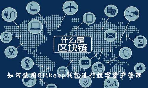 如何使用BitKeep钱包进行数字资产管理