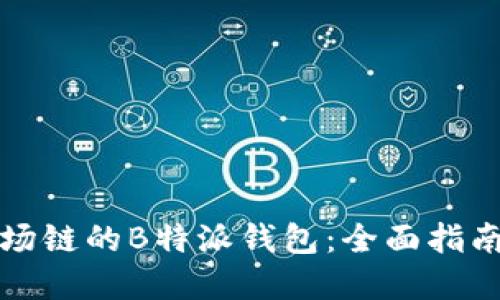 如何创建波场链的B特派钱包：全面指南与流程详解