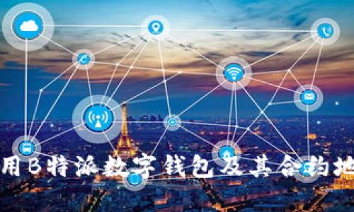 如何安全使用B特派数字钱包及其合约地址完全指南