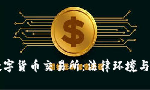 中国承认的数字货币交易所：法律环境与市场动态分析