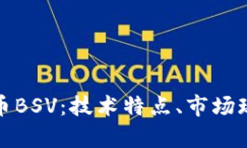 全面解析虚拟币BSV：技术特点、市场现状与投资前景