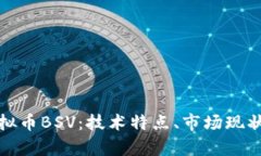 全面解析虚拟币BSV：技术特点、市场现状与投资