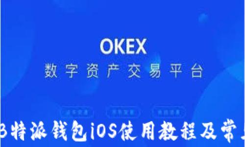 
全面解析：B特派钱包iOS使用教程及常见问题解答
