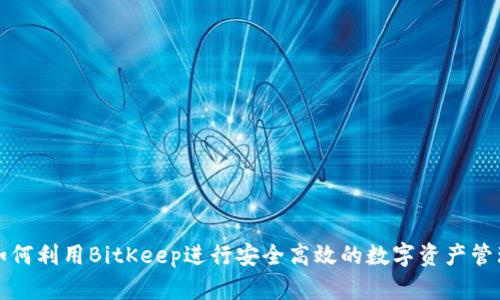 如何利用BitKeep进行安全高效的数字资产管理