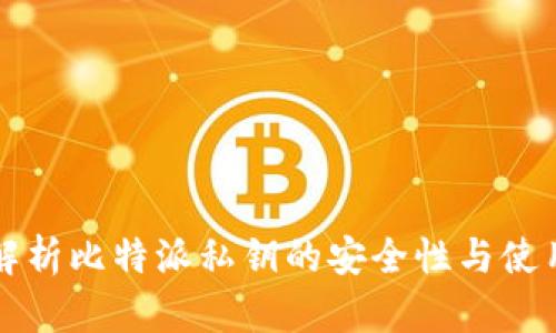 全面解析比特派私钥的安全性与使用指南