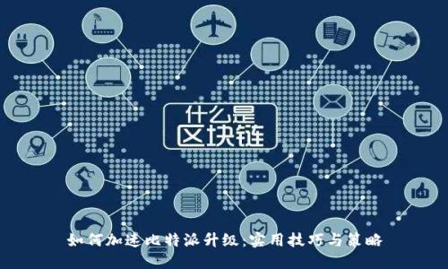 如何加速比特派升级：实用技巧与策略