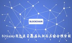 Bitkeep钱包是否存在私钥及其安全性分析