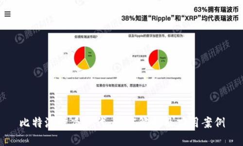 比特派护盾一代：深度解析及应用案例