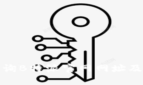 如何快速查询B特派官网网址及其功能详解