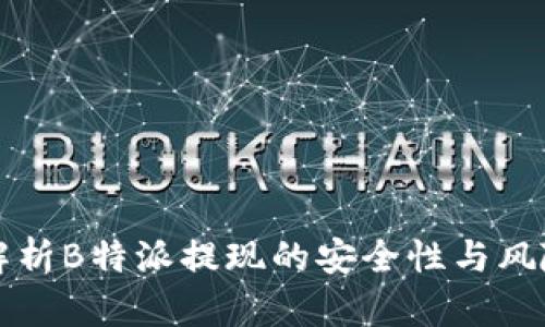 深入解析B特派提现的安全性与风险评估