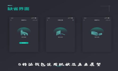 B特派钱包使用现状及未来展望