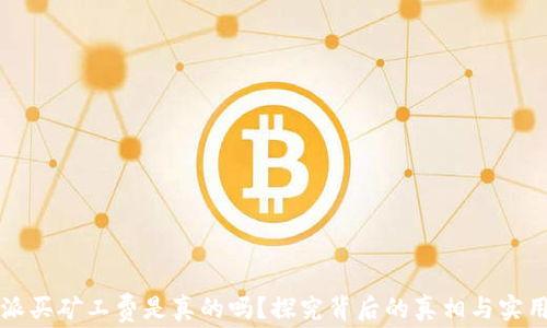 
比特派买矿工费是真的吗？探究背后的真相与实用指南