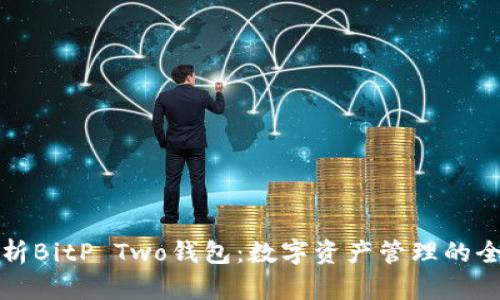 深入解析BitP Two钱包：数字资产管理的全新选择