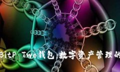 深入解析BitP Two钱包：数字资产管理的全新选择