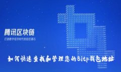 如何快速查找和管理您的Bitp钱包地址