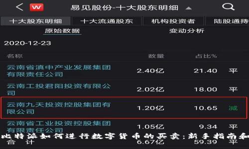 全面解析比特派如何进行数字货币的买卖：新手指南和常见问题