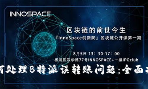 如何处理B特派误转账问题：全面指南