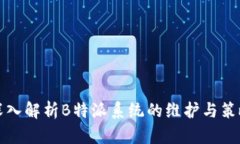 深入解析B特派系统的维护与策略