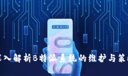 深入解析B特派系统的维护与策略