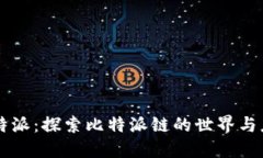 比特派：探索比特派链的世界与应用