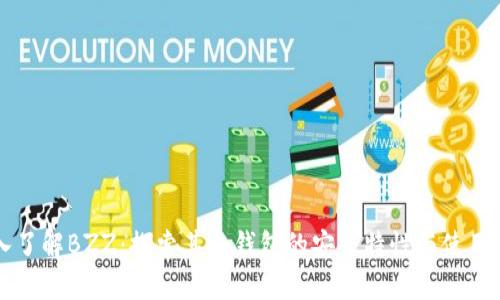 深入了解BZZ：探索其冷钱包的安全特性与使用指南