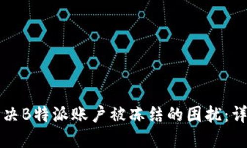 如何解决B特派账户被冻结的困扰：详尽指南