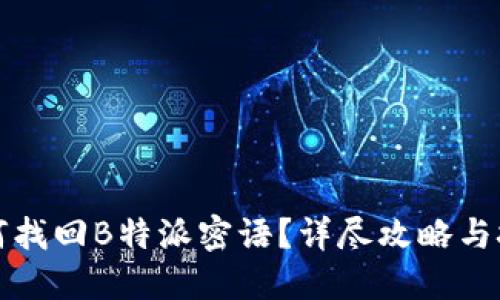 如何找回B特派密语？详尽攻略与技巧