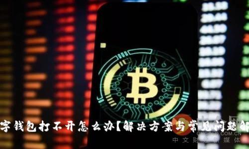 数字钱包打不开怎么办？解决方案与常见问题解答